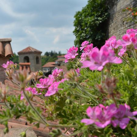 Dimora Storico Romantica Il Sole E La Luna Cerretto Langhe Екстер'єр фото